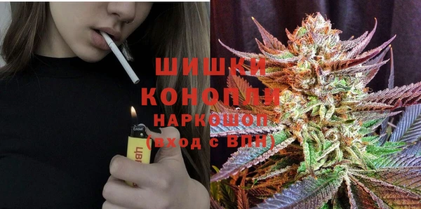 a pvp Бородино