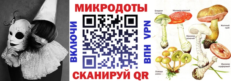 наркошоп  Кола  Галлюциногенные грибы прущие грибы 